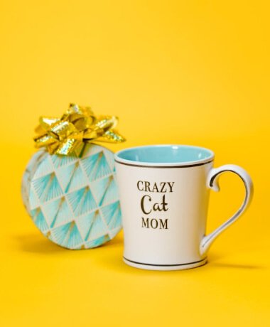 offer 01.jpg