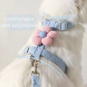 luxury watch